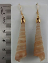 Load image into Gallery viewer, Shell Earrings
