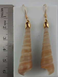 Shell Earrings