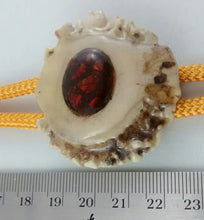 Load image into Gallery viewer, Antler and Ammolite Bolo Tie
