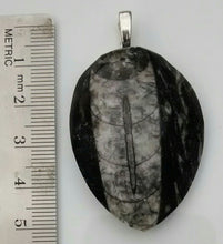 Load image into Gallery viewer, Orthoceras Fossil Pendant
